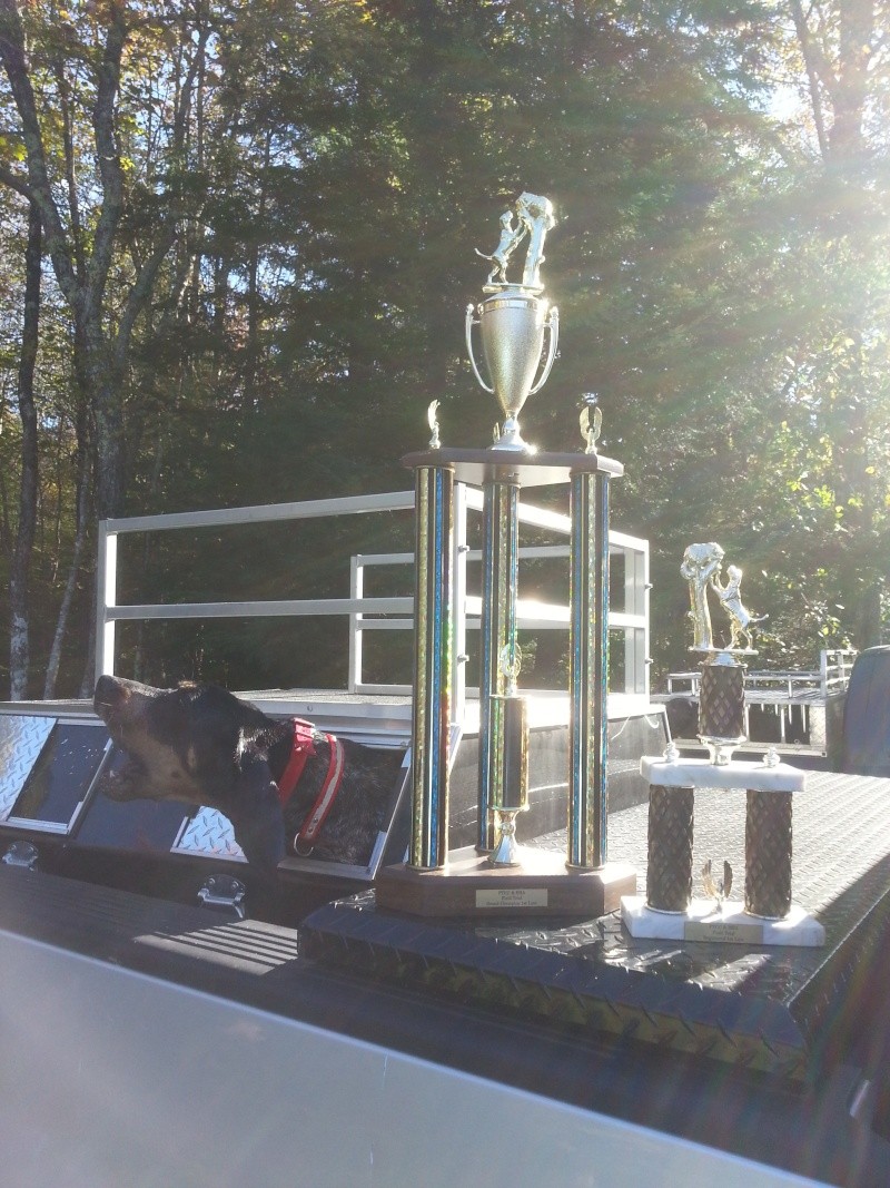 2013 Maine State Field Trial Line Champion Grenad10