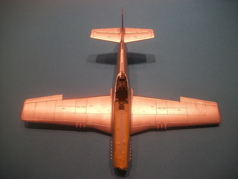 [Airfix] North American F51D Mustang (ajout de photos en extérieur) 100_2340