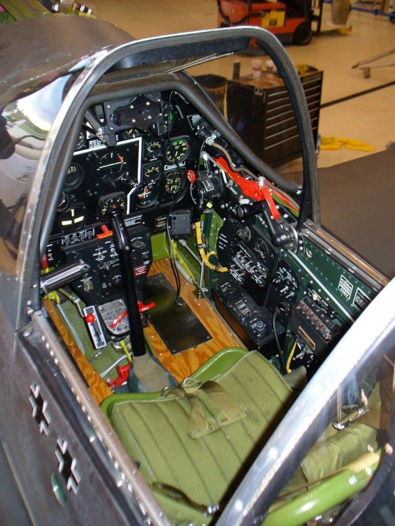 [Airfix] North American F51D Mustang (ajout de photos en extérieur) Pit1010