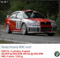 3º Evento de Temporada de Rally  # Rally WRC    28/05/2014    ¡ Apuntate aquí !  Skoda_12