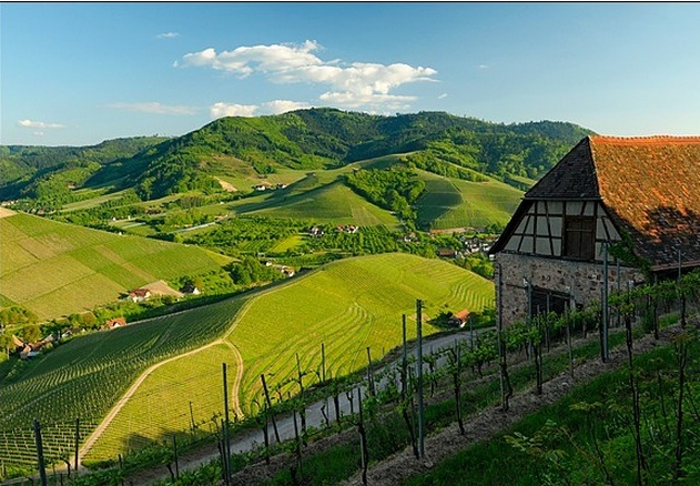 20 paysages magnifiques qui vont vous donner envie de voyager… en Alsace ! Alsace17