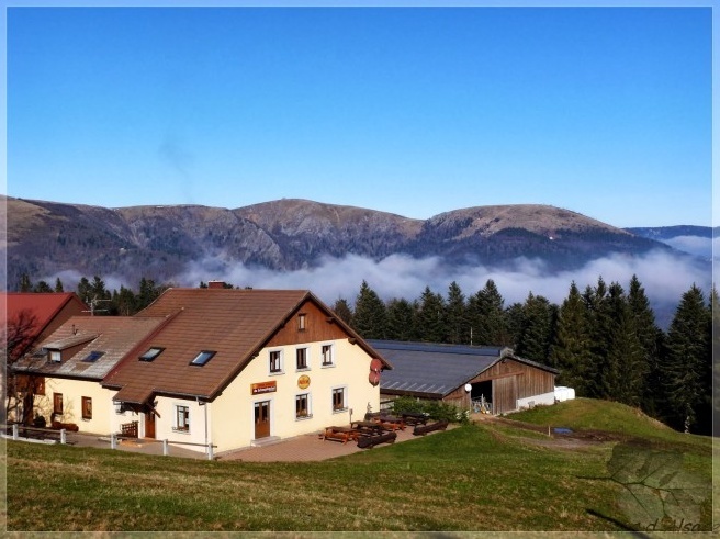 20 paysages magnifiques qui vont vous donner envie de voyager… en Alsace ! Alsace21
