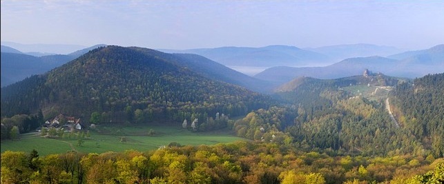 20 paysages magnifiques qui vont vous donner envie de voyager… en Alsace ! Alsace23