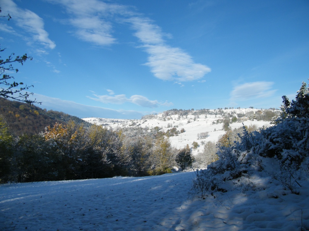 Fabrication d'une bergerie dans le Cantal Berger47