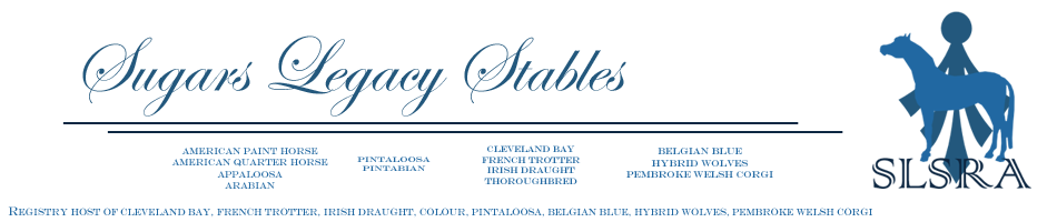 Sugars Legacy Stables Forums