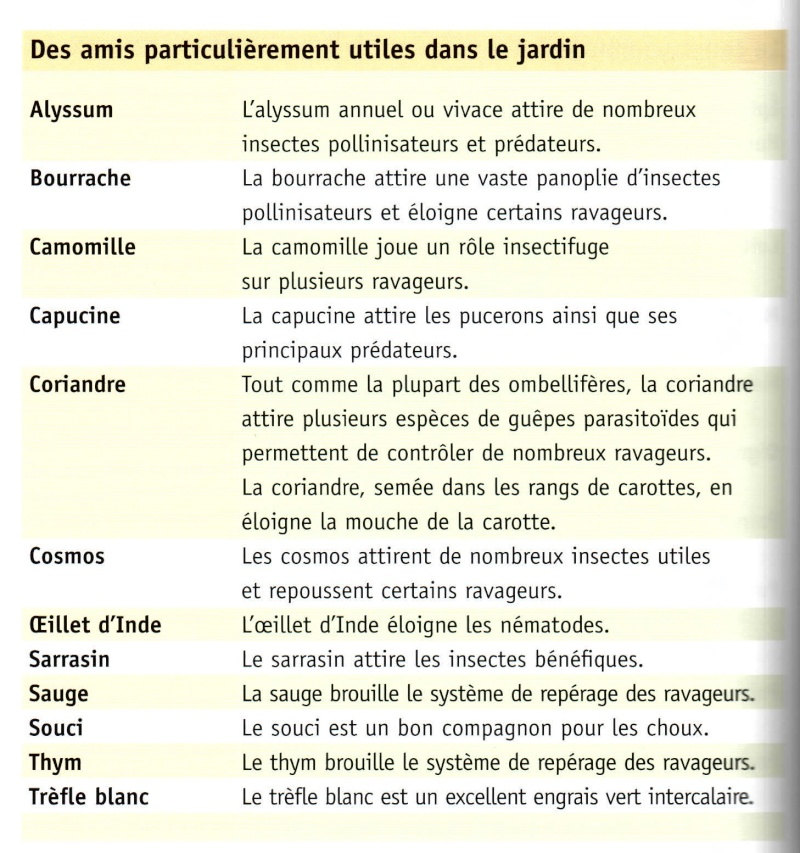 Association des légumes 511