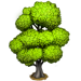 Vous cherchez un arbre ? Venez cliquer ici !!! Ashtre12