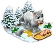 Loup Sans_567