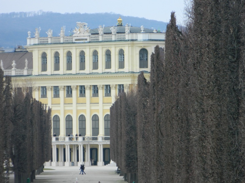 Le palais de Schönbrunn Dscn1112