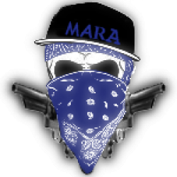 |Mara Salvatrucha| ~ Rangs et Skins ~ Zo15