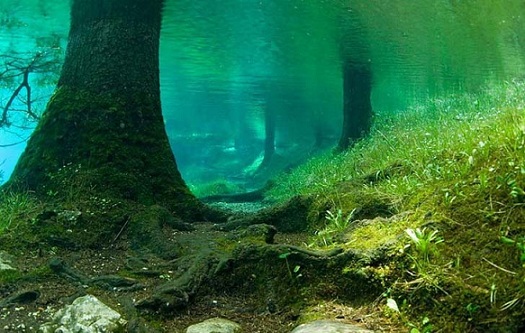Le lac vert Green-10