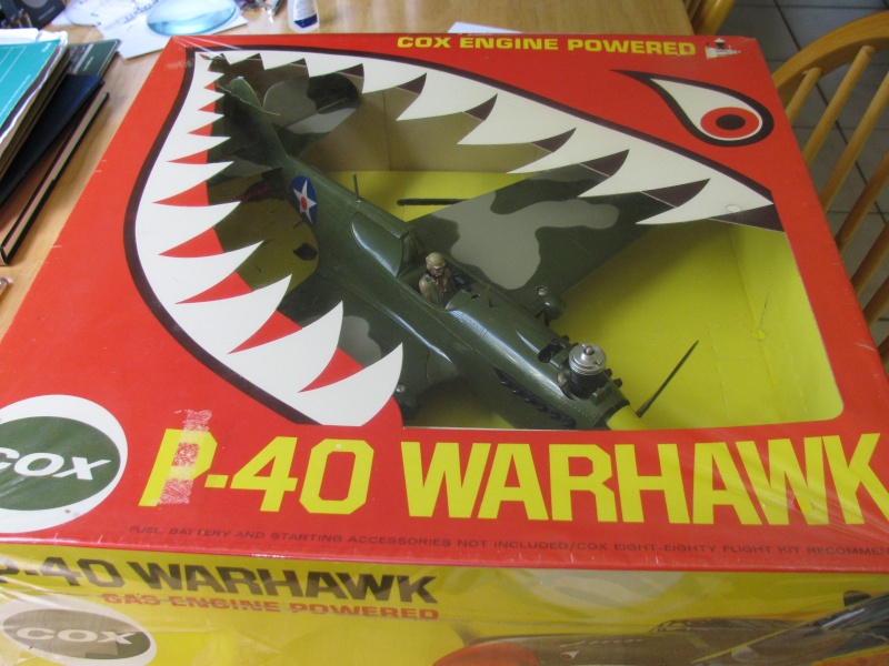 CoxP-40 Warhawk, Flying Tiger Img_2426