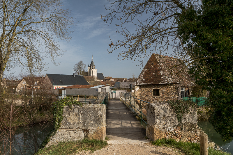 Un petit tour chez Marcel (21/02/2021) 20210213