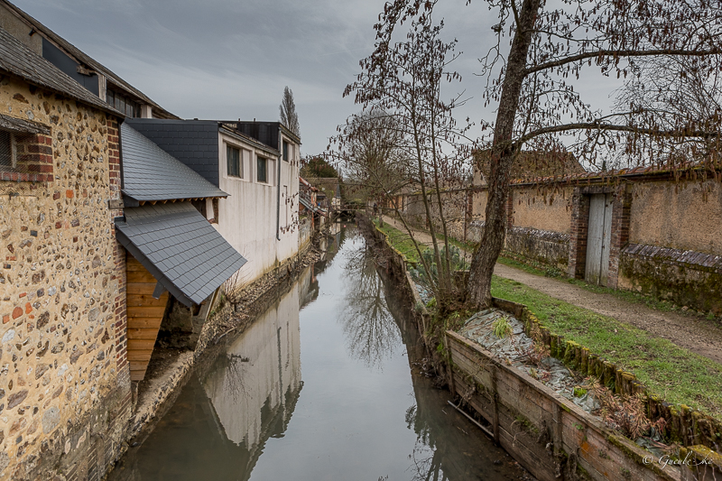 Un petit tour chez Marcel (21/02/2021) 20210219