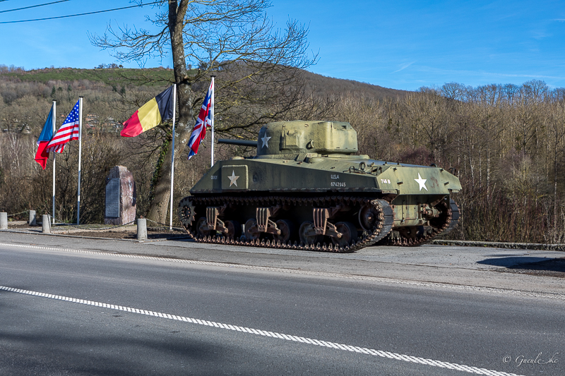 Un tour dans les Ardennes belges et françaises le 12/02/2022 Hastiz11