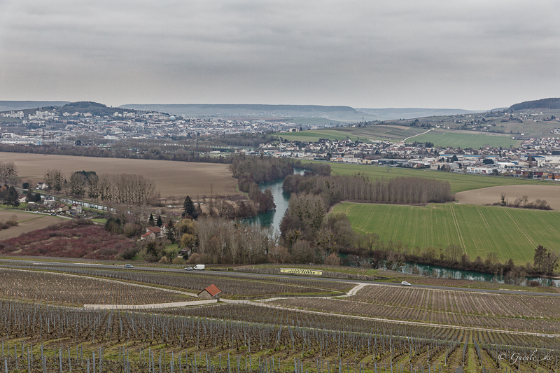 Dans le gris et le PNR de la Montagne de Reims le 4 Mars 2023 Hautvi10