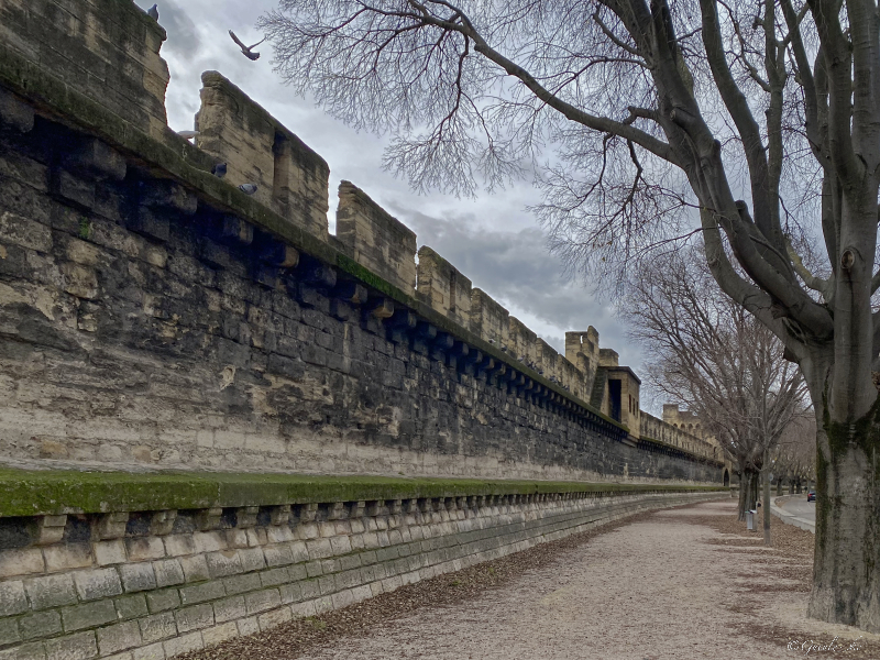 Quelques jours à Avignon (fin décembre 2022) Img_6023
