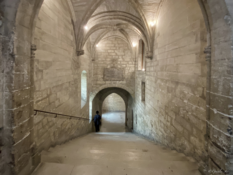 Quelques jours à Avignon (fin décembre 2022) Img_6239
