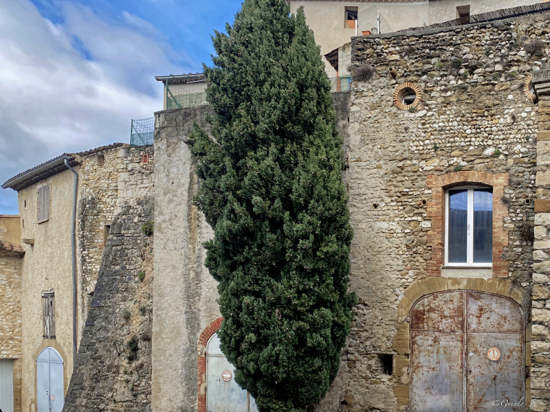 Quelques jours à Avignon (fin décembre 2022) Img_6317
