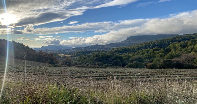 Quelques jours à Avignon (fin décembre 2022) Img_6417