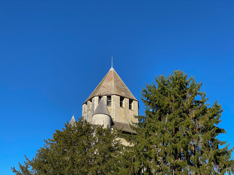 Petite virée à Provins le 24/10/2021 Provin10