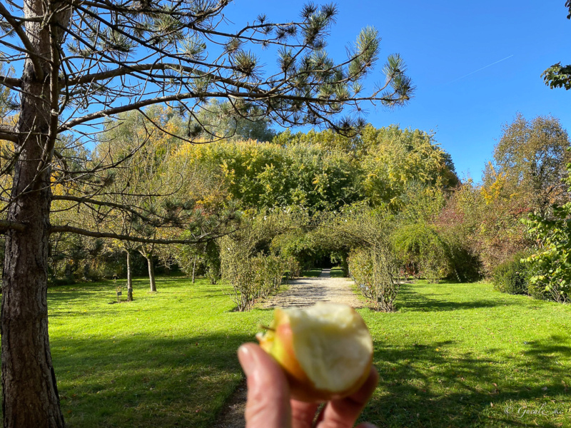 Petite virée à Provins le 24/10/2021 Provin12