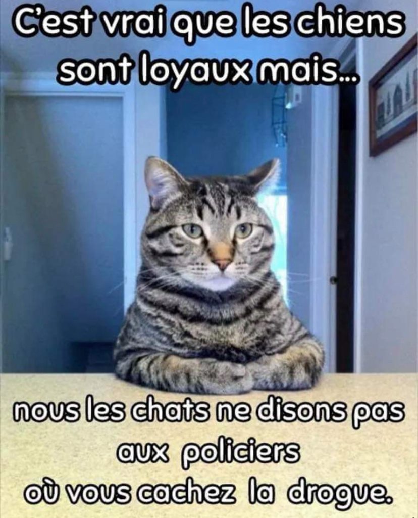 humour - Page 20 13025510
