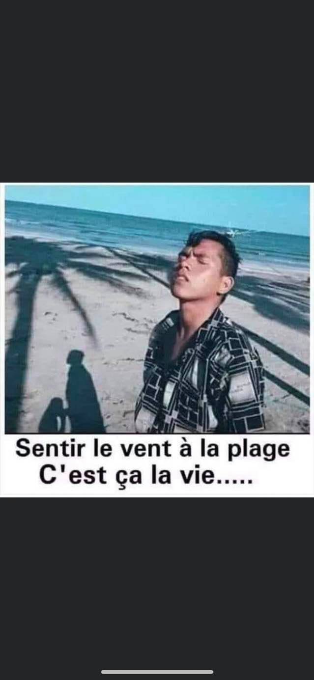 humour - Page 22 13168211