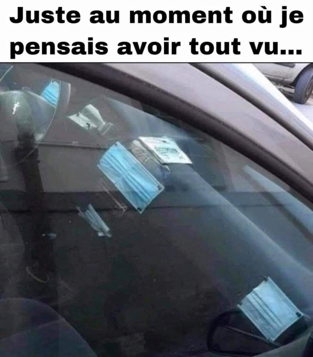 humour - Page 31 16405410