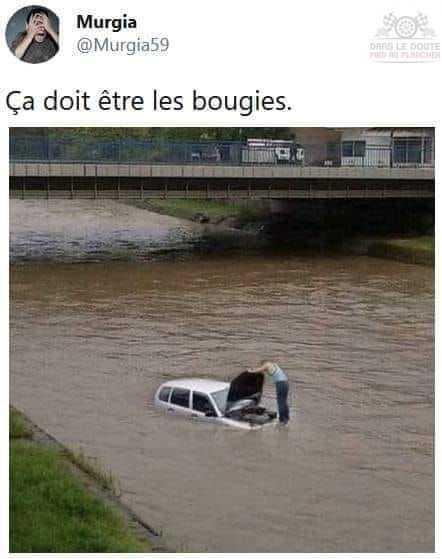 humour - Page 16 25880310