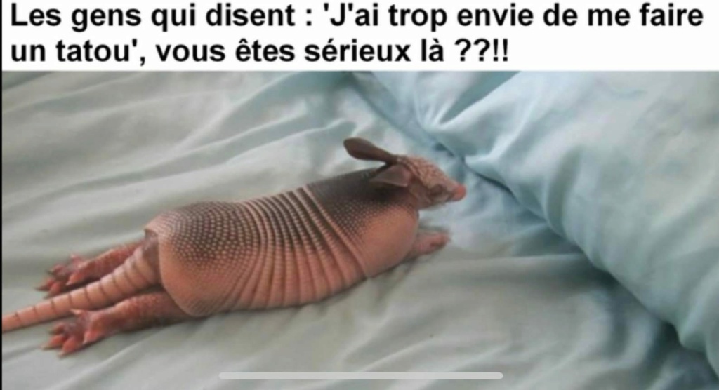 humour - Page 28 26778010