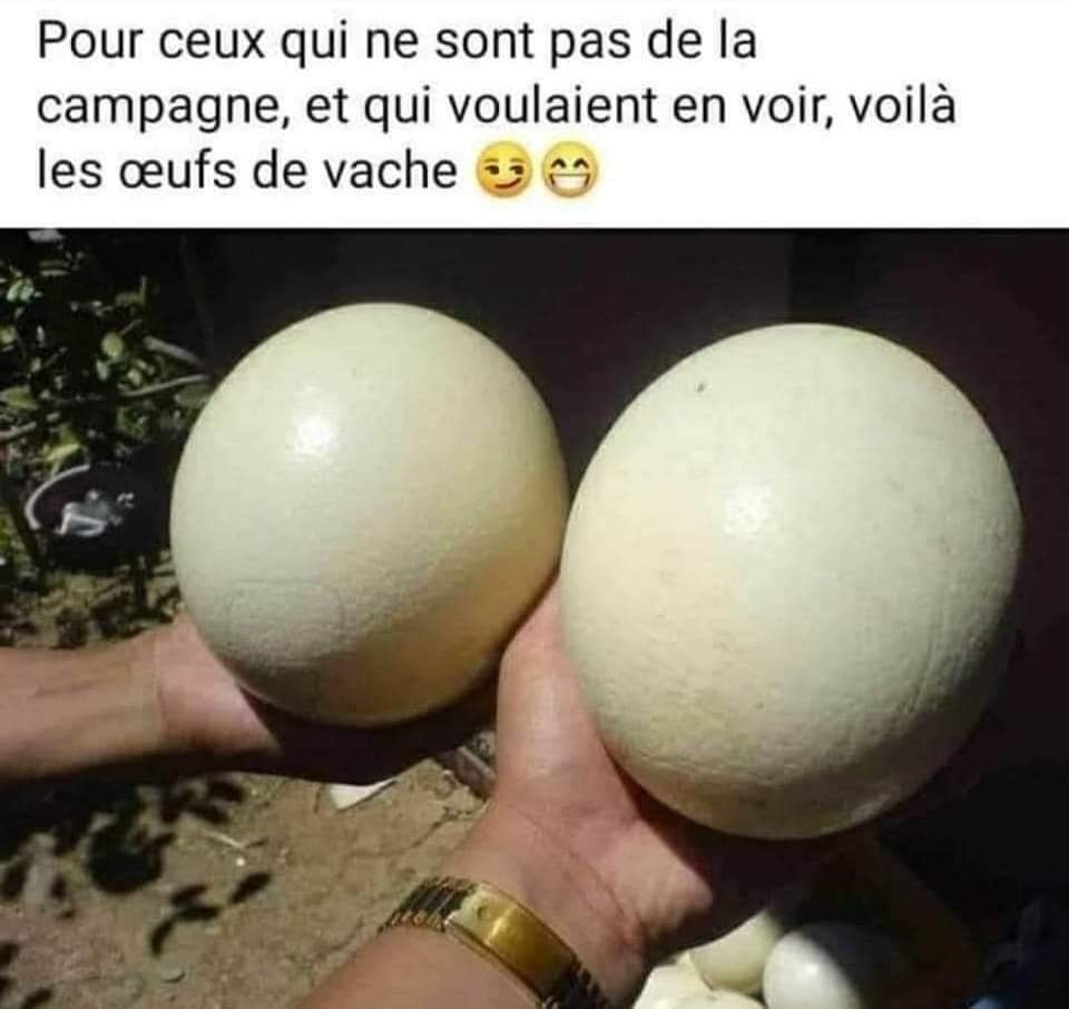 humour - Page 20 27180210