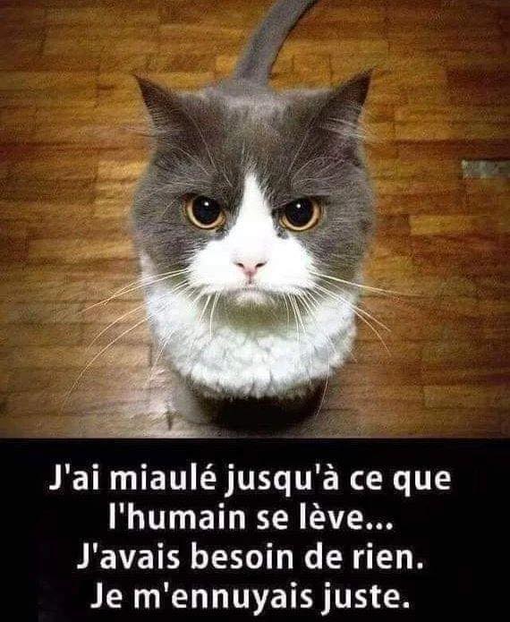 humour - Page 26 27604310