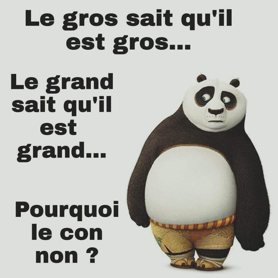 humour - Page 28 28231010