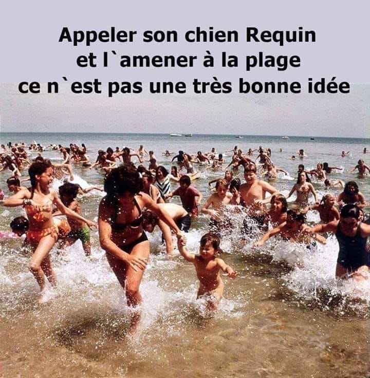 humour - Page 30 28945610