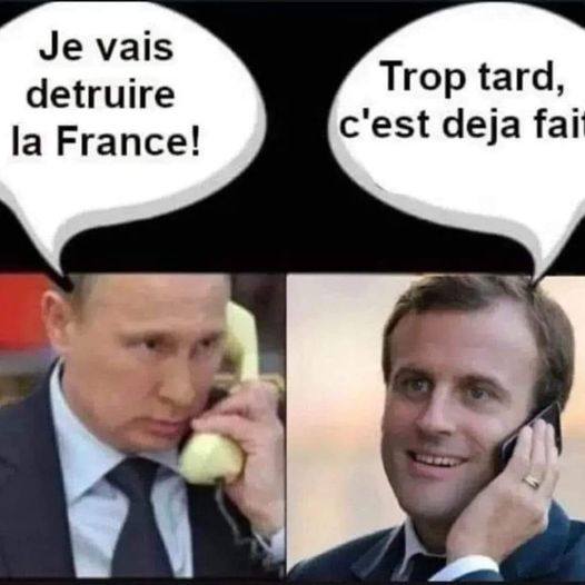 humour - Page 34 29556910