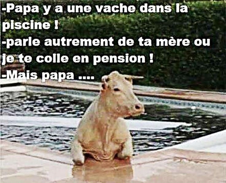humour - Page 34 29562210
