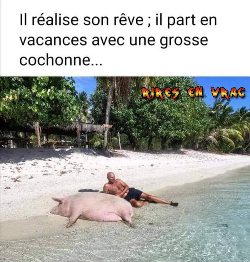 humour - Page 34 29760210