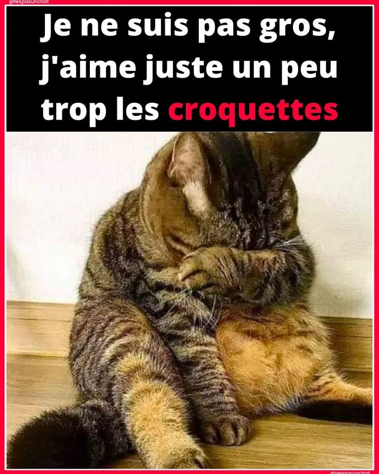 humour - Page 2 31147010