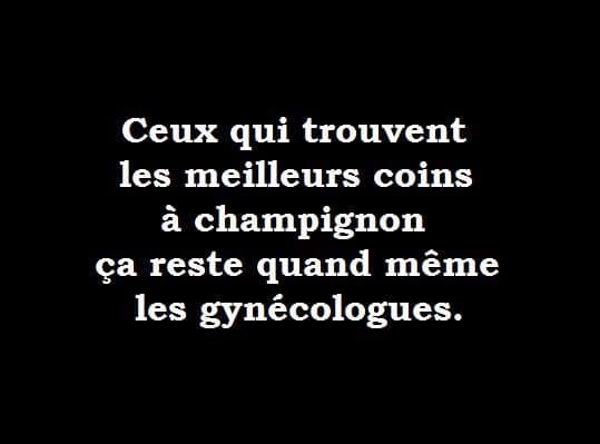 humour - Page 23 64826610