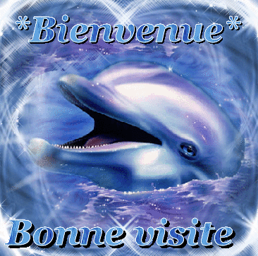 Présentation de Philippe 34 80383a12