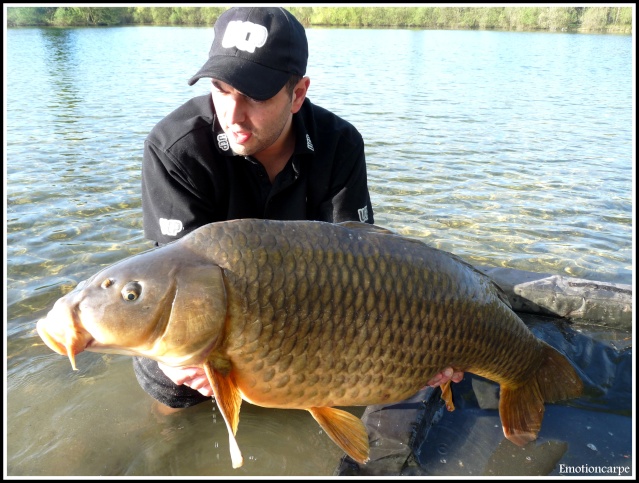 Un petit 48h de pur bonheur  P1120136