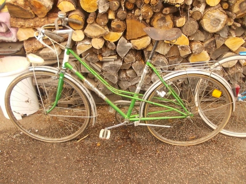 motoconfort dame 1974 2014-604