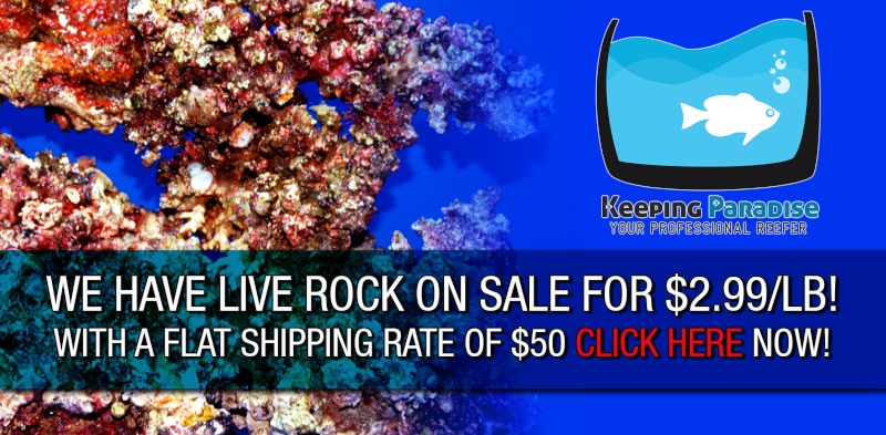 Live Rock for 2.99/lb! with a flat rate of $50 shipping! Rockad10