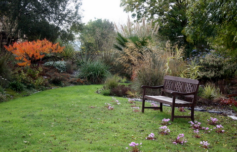 Jardin du moulin neuf automne octobre Img_1316