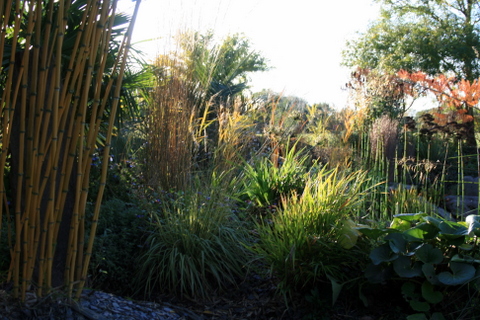 Jardin du moulin neuf automne octobre Img_1413