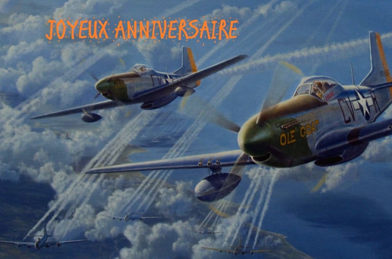 joyeux anniversaire P51_gr10