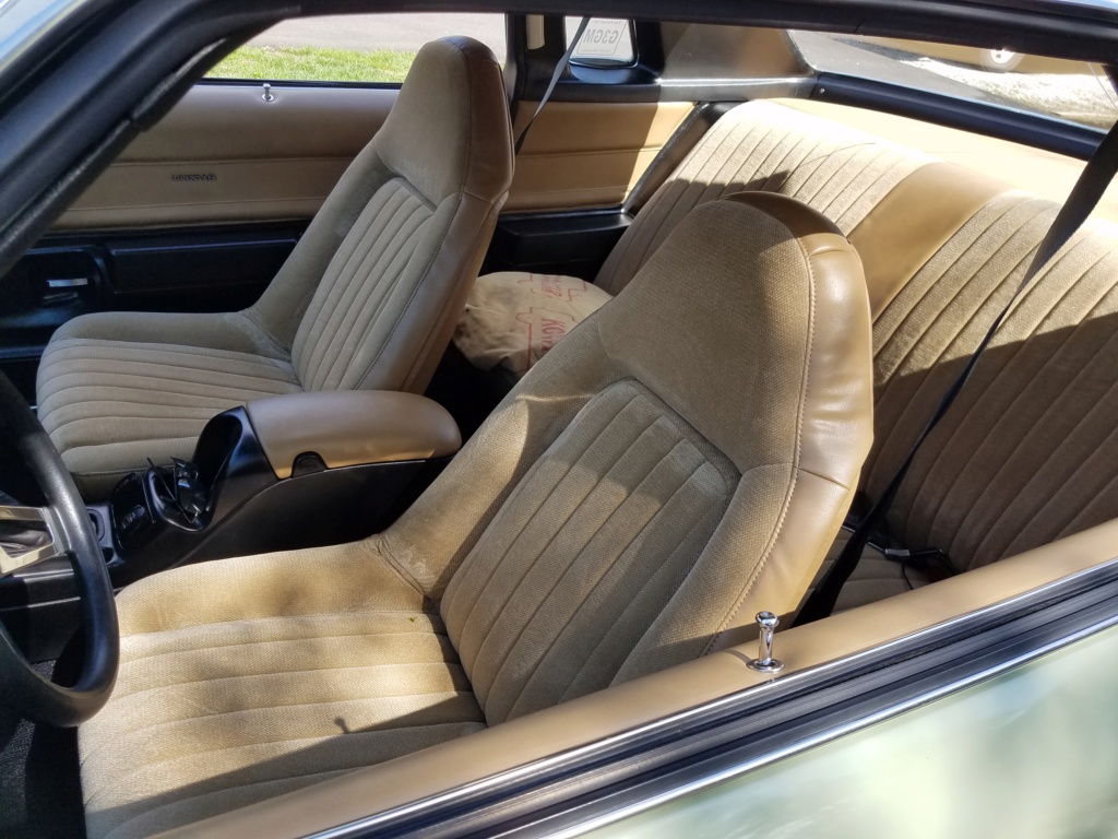 Wifes 74 Buick Century Luxus (GS455) 20190416