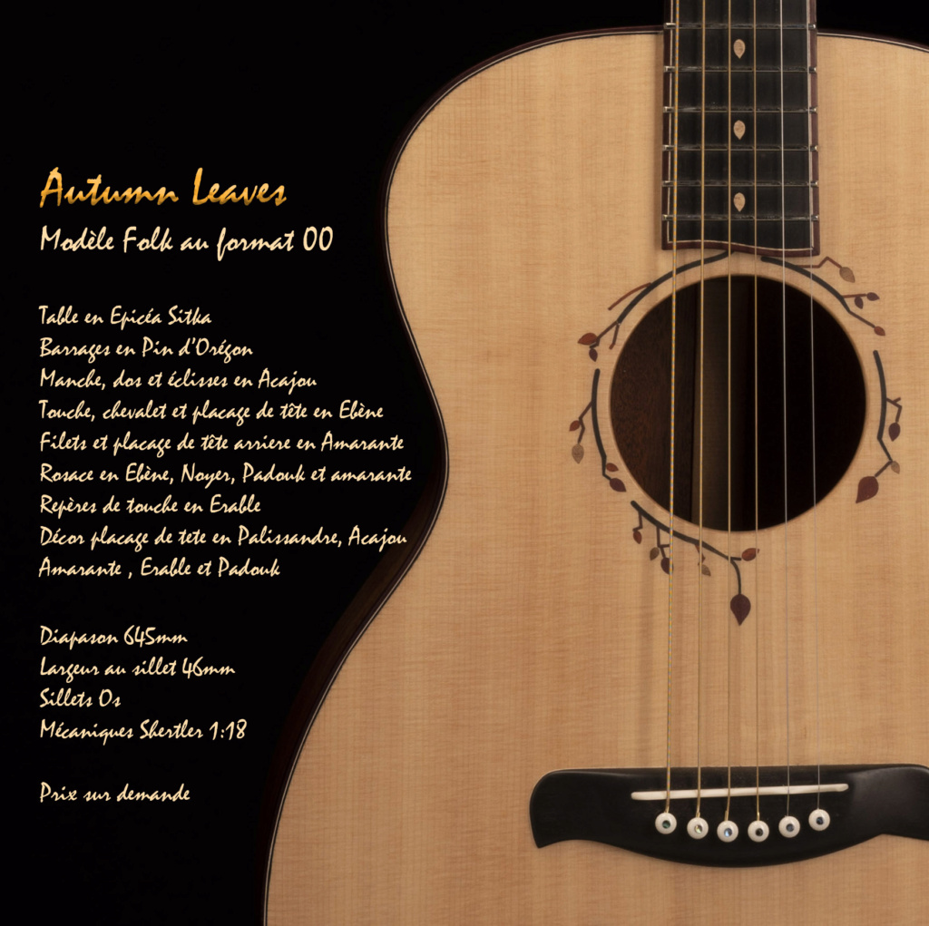 Artisan Luthier Guitare 00_aut11