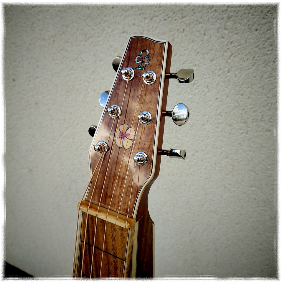 Artisan Luthier Guitare 30676611